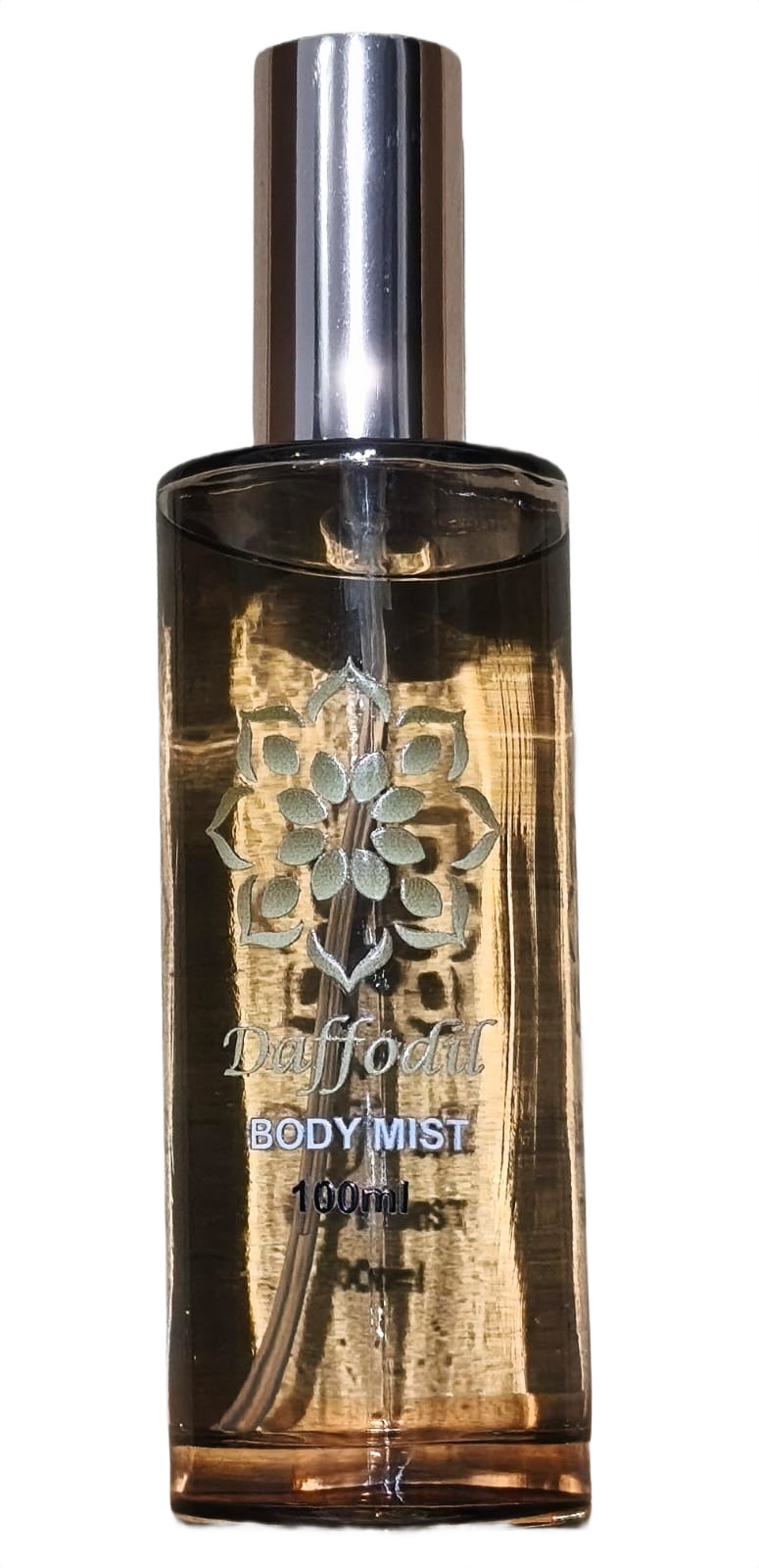 Body